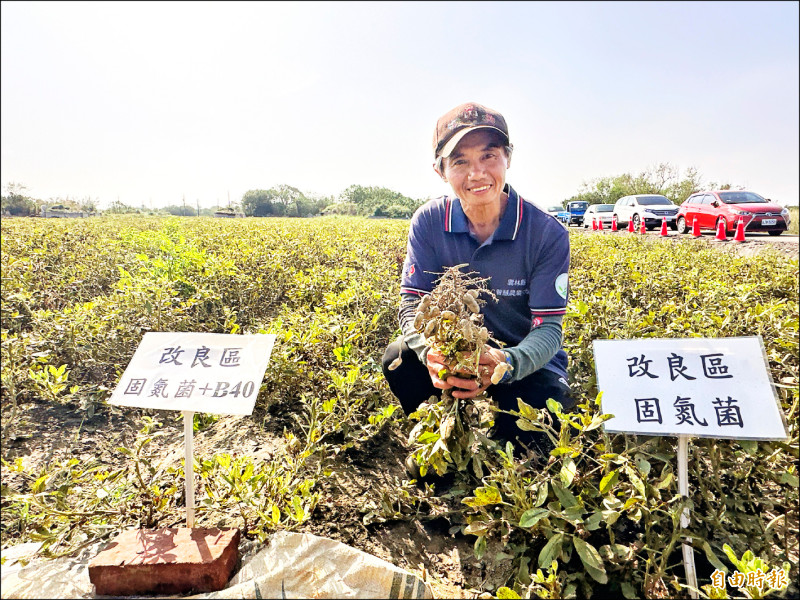 農民張志郎表示，與農改場合作下，利用微生物製劑解決土壤問題，產量也大幅提升。
（記者李文德攝）