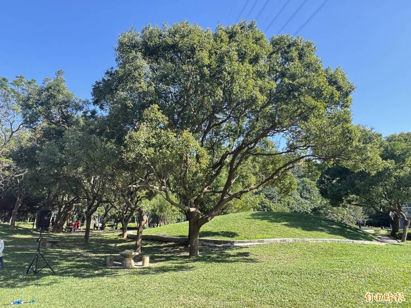 台中清水鰲峰山公園「陽光草坪」，將興建具有34道、全國最多溜滑梯的遊戲場。（記者歐素美攝）