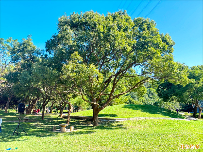 台中清水鰲峰山公園「陽光草坪」，將興建擁有卅四道、全國最多溜滑梯的遊戲場。（記者歐素美攝）