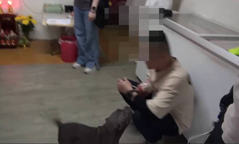 陈男请求警方，将饲养的比特犬带入冷气房内，员警不禁说「实在是好狗命」。（警方提供）