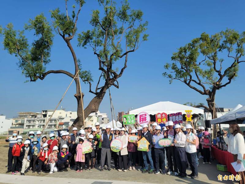 屏東市和生市地重劃，3棵老樟樹完成移植。（記者葉永騫攝）