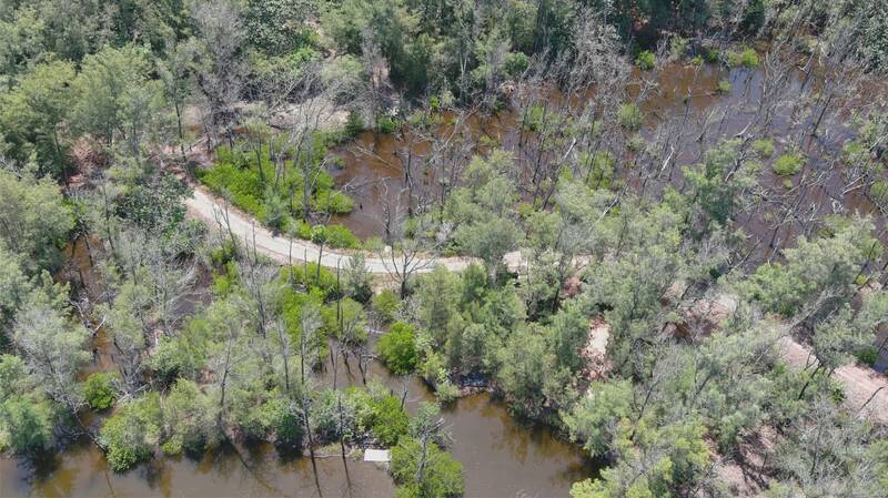 林木受到地層下陷影響而長期淹浸，有大量林木死亡。（林試所提供）