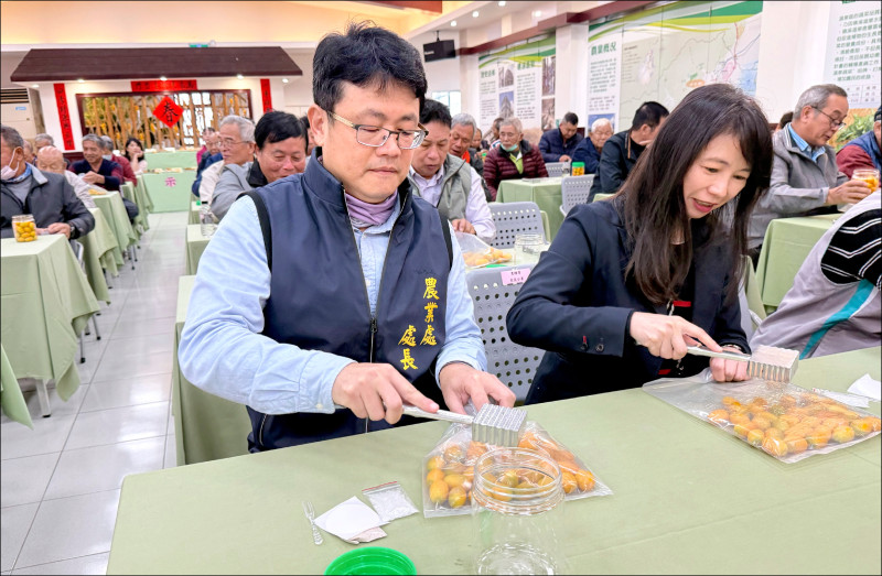 宜蘭縣府與礁溪鄉農會，將連辦十二天免費釀梅香金柑體驗。 
（宜蘭縣府提供）