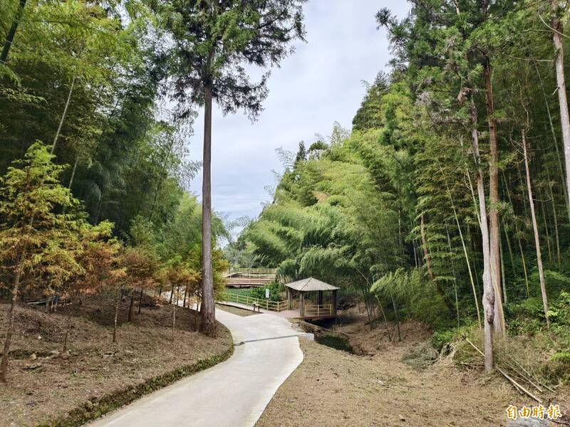 石壁森林療癒基地，結合雲嶺之丘、杉林步道、五元兩角、木馬古道等景點，成功帶動觀光人潮，光去年突破80萬人次大關。 （記者李文德攝）