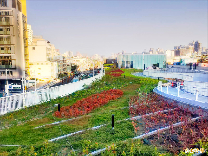 高雄車站天棚上栽植卅一萬五千餘株各式植物，打造火車站上的空中花園。（記者王榮祥攝）