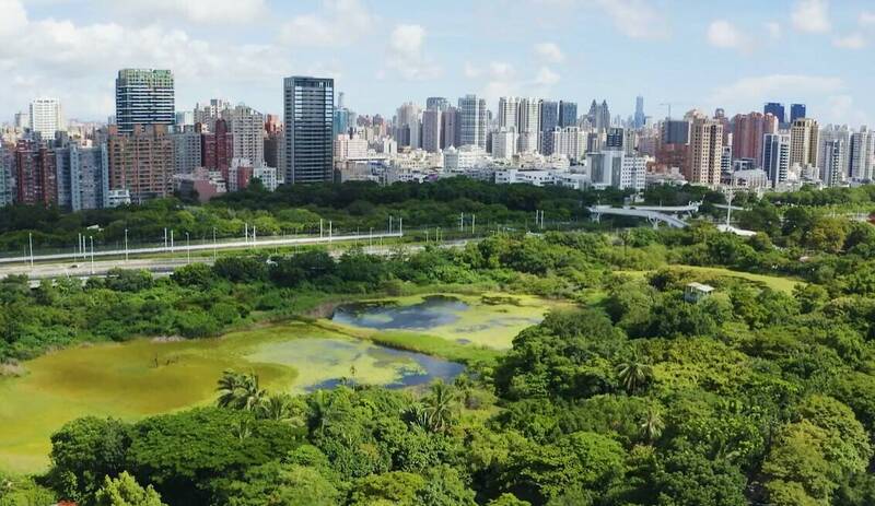 洲仔濕地鳥瞰場景。（高市府提供）