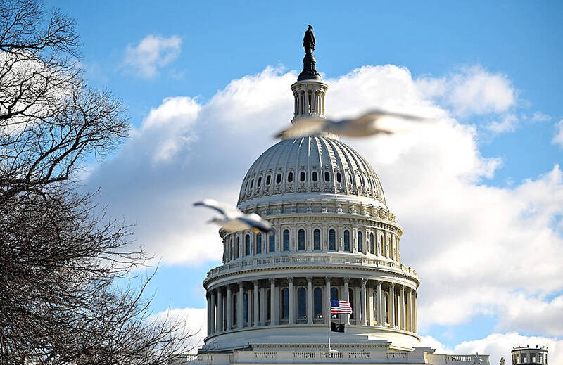 
Birds fly near the US Capitol in Washington on Saturday.
Photo: AFP