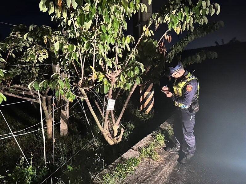 台東警分局警員夜巡釋迦果園防止宵小。（記者黃明堂翻攝）