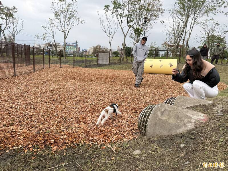 宜蘭縣登記寵物犬貓逾4萬隻，位於溪北員山鄉的金山寵物公園啟用，是縣內第二座，占地200坪，設有大小犬區，吸引許多毛小孩體驗。（記者王峻祺攝）