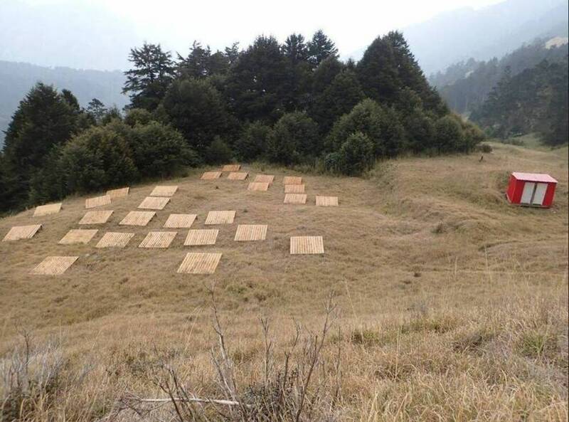 雪霸國家公園「三六九山莊」山屋重建中，雪霸國家公園管理處先設臨時營地供山友住宿需求。（圖由雪霸國家公園管理處提供）