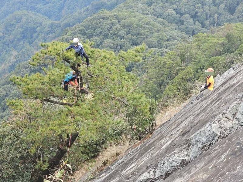 多位民眾為了拍照，竟爬上鳶嘴山峭壁上的樹頂。（取自臉書「肉腳登山隊」）