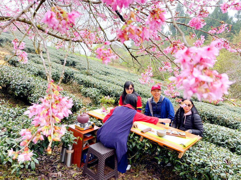 
People drink Alishan high-mountain tea on Alishan in Chiayi County in an undated photograph.
Photo courtesy of the Chiayi County Government via CNA