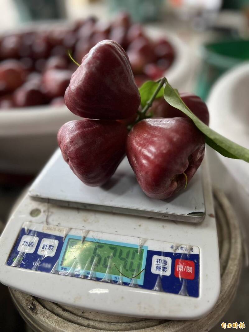 蓮霧產量今年遭重創，有現果者為王，連以往很難拿上檯面的品相，都能獲得行口或是販運商的青睞以相對高價購買。（記者陳彥廷攝）