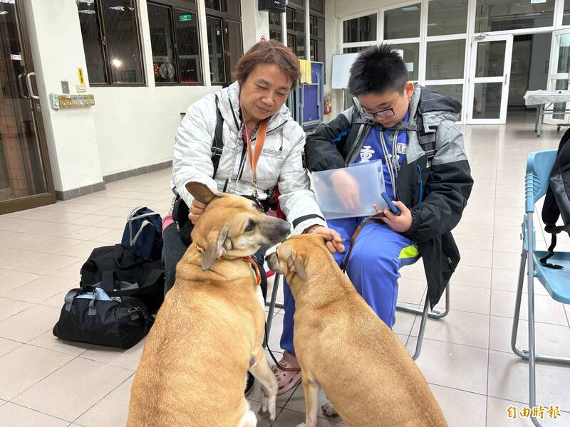 葉小姐一家飼養愛犬，兩隻米克斯犬親近人且不咬人。（記者陳奕劭攝）