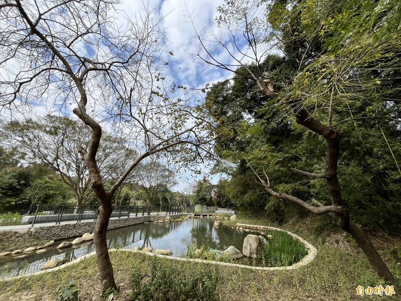 新竹縣湖口鄉甫於農曆年前竣工開放的「畚箕窩溪藍帶」步道,來湖口老街走春,別錯過後山秘境。(記者廖雪茹攝) 新竹縣湖口鄉甫於農曆年前竣工開放的「畚箕窩溪藍帶」步道,來湖口老街走春,別錯過後山秘境。(記者廖雪茹攝)
