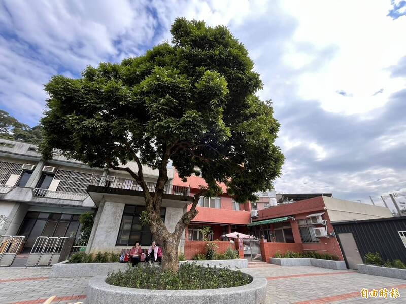 余家百年龍眼樹休憩空間。(記者廖雪茹攝) 余家百年龍眼樹休憩空間。(記者廖雪茹攝)