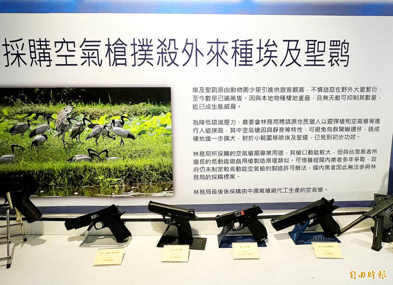 \\192.168.5.8\news\ok_retouch_folder\20250203\P02-250203-008.jpg
Six Chinese-made air guns used to kill African sacred ibis are displayed in an unidentified location and undated photograph.
Photo: Liao Chia-ning, Taipei Times \\192.168.5.8\news\ok_retouch_folder\20250203\P02-250203-008.jpg
Six Chinese-made air guns used to kill African sacred ibis are displayed in an unidentified location and undated photograph.
Photo: Liao Chia-ning, Taipei Times