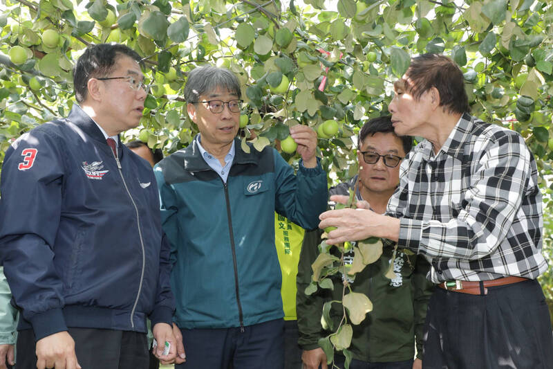 台南棗子、楊桃震損，農業部長陳駿季（左2）在台南市長黃偉哲（左1）陪同下，赴楠西區棗子園視察 。（台南市政府提供）