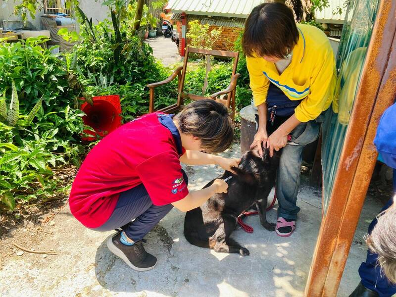 動保處提醒飼主每年要幫家中犬貓完成狂犬病疫苗注射。（動保處提供）