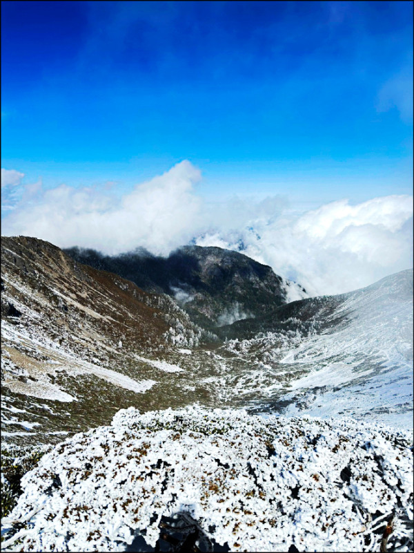 雪山主峰積雪20公分，連植物也結冰。（山友張雯鈞提供）