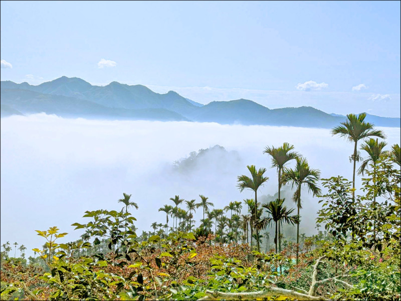 寒流來襲，嘉義縣竹崎鄉獨立山奉天岩可觀賞壯闊雲海景色，獨立山在雲霧中若隱若現。（記者王善嬿攝）