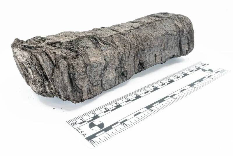 這塊外觀如同焦炭的團塊，實際上是西元79年維蘇威火山爆發時，被高溫燒焦碳化的紙莎草古卷。由於直接展開這類脆弱的古卷，極可能造成無法挽回的損壞，因此研究人員採用「虛擬展開」技術，以非侵入性的方式，一窺古卷中的內容。（圖：Vesuvius Challenge）