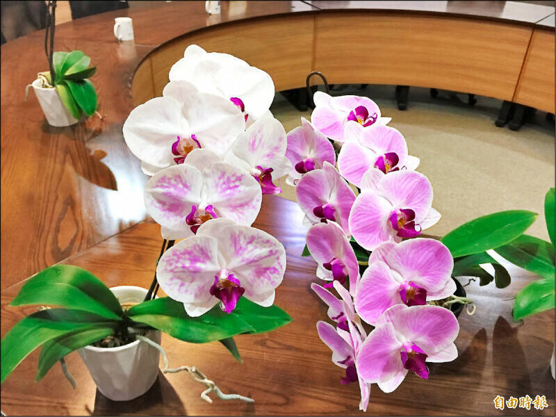 農業部農糧署表示,去年申請植物品種權共200件,其中以蝴蝶蘭為大宗。(資料照) 農業部農糧署表示,去年申請植物品種權共200件,其中以蝴蝶蘭為大宗。(資料照)