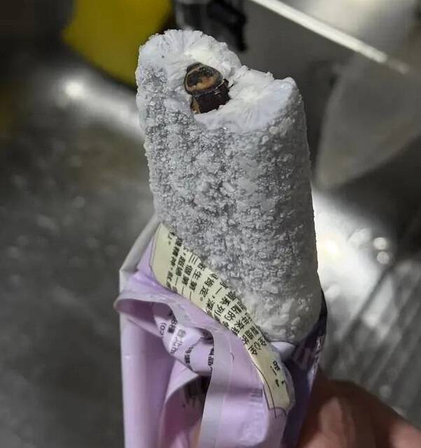 民眾購買基隆百年老店品牌連珍授權製作的冰棒,卻發現裡面有隻蟑螂。(擷取自臉書) 民眾購買基隆百年老店品牌連珍授權製作的冰棒,卻發現裡面有隻蟑螂。(擷取自臉書)