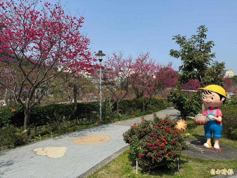 鶯歌區永吉公園是新北市賞櫻勝地之一。(記者陳奕劭攝) 鶯歌區永吉公園是新北市賞櫻勝地之一。(記者陳奕劭攝)