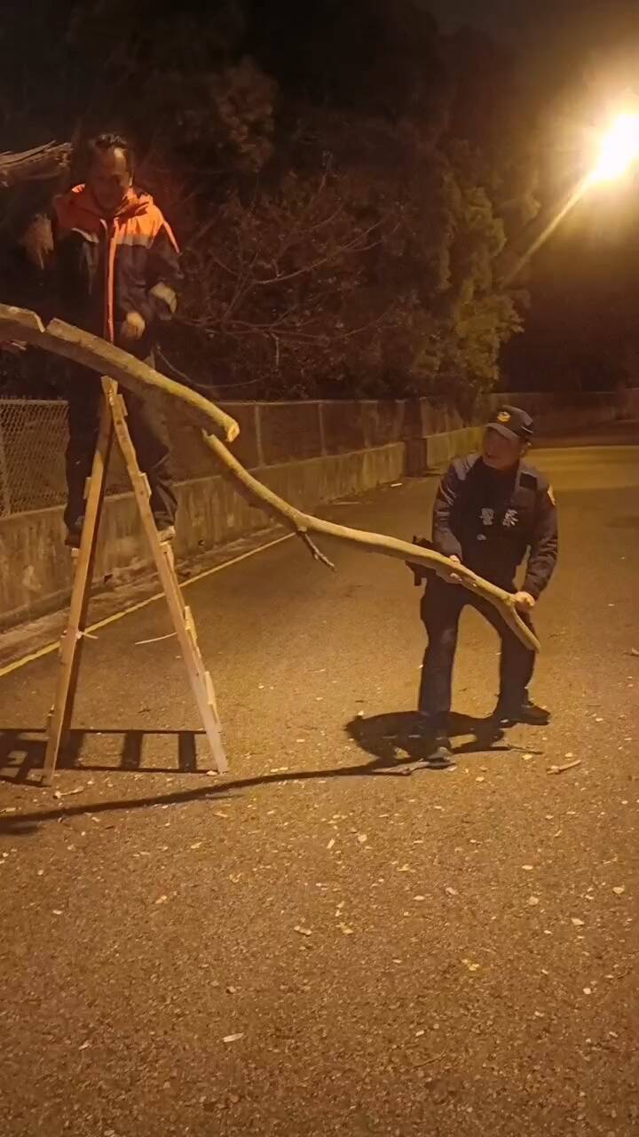 台中沙鹿中清路路樹橫倒  警會同義警排除 - 社會 - 自由時報電子報
