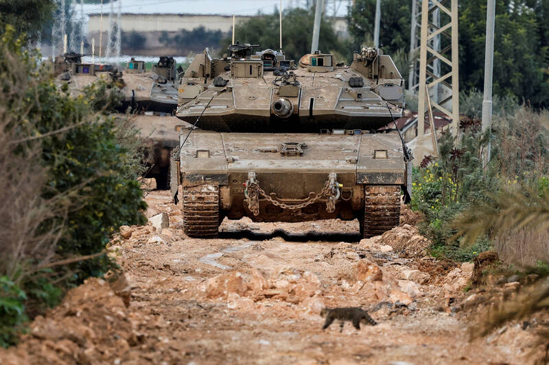 2月23日在以色列佔領的約旦河西岸哲寧（Jenin），一隻貓走過以軍的軍事行動現場。（路透）