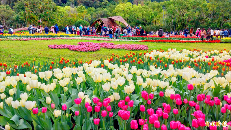 士林官邸鬱金香展未控人流 賞花體驗差 - 生活 - 自由時報電子報