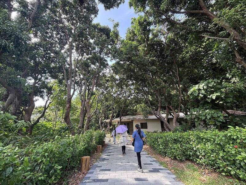 228連假  台南推薦森林系秘境之旅 - 生活 - 自由時報電子報