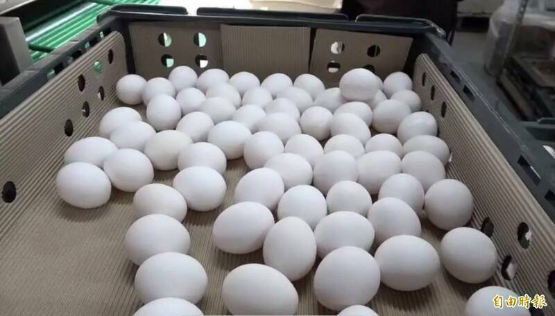 雞蛋產地、批發「價差協商」無共識  蛋商公會、養雞協會3/5再議 - 生活 - 自由時報電子報