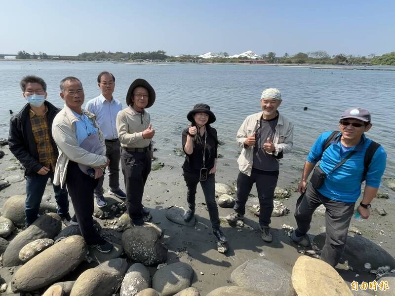 台南山海圳起點瀕危「貝克氏鹽草」現蹤。(吳茂成提供) 台南山海圳起點瀕危「貝克氏鹽草」現蹤。(吳茂成提供)