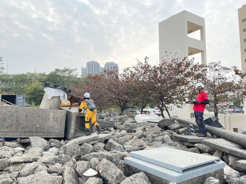高雄14隻搜救犬 全數通過國際搜救犬認證 - 社會 - 自由時報電子報