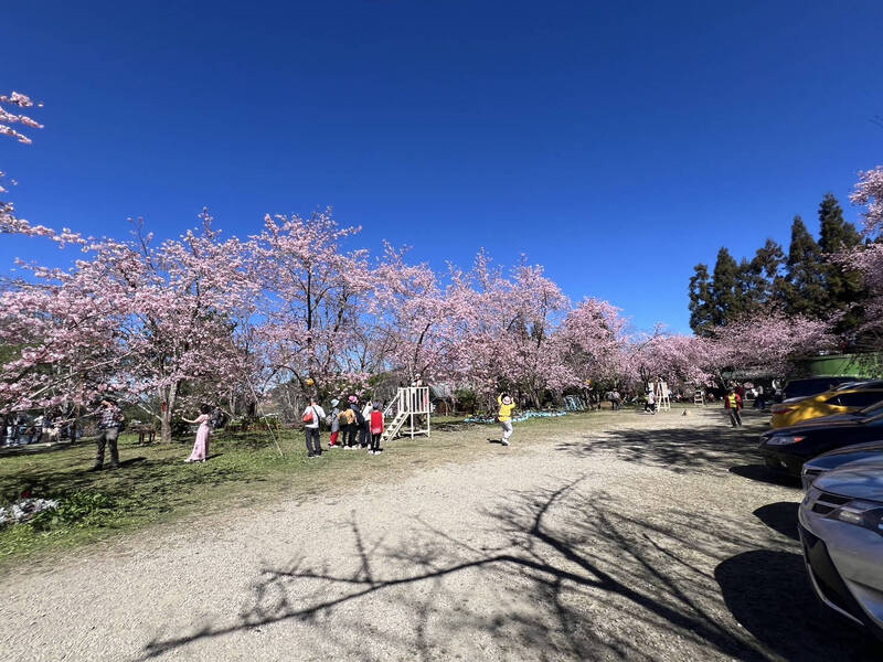 228連假！桃園大溪老街車流管制一次看 - 生活 - 自由時報電子報