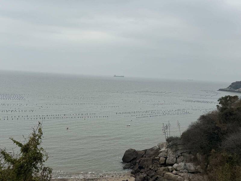 防中國蚵仔走私洗產地輸台 漁業署：預計年底馬祖蚵全納溯源 - 生活 - 自由時報電子報