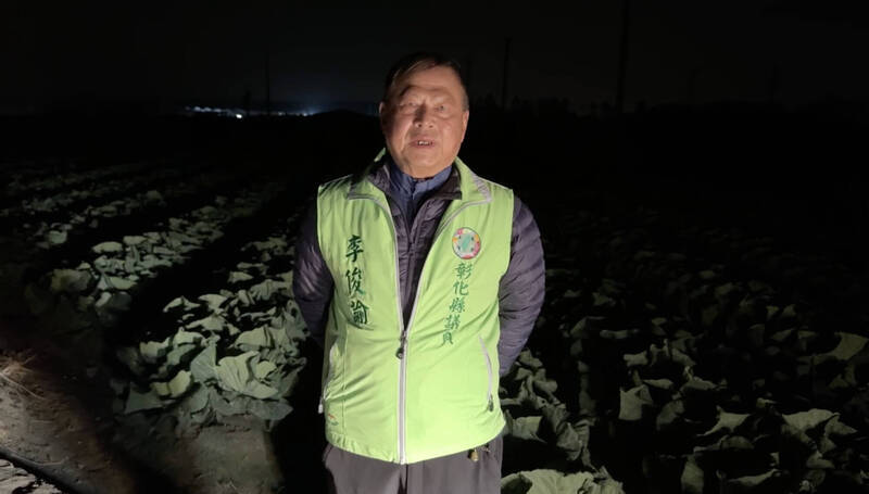 菜價低迷！北漂企業主買5000顆包心白菜 溪州農民狂喜凌晨割菜 - 生活 - 自由時報電子報