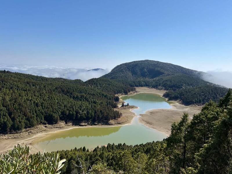 享受寒冬裡日光浴？ 太平山長鬃山羊、黃喉貂陽光下現蹤 - 生活 - 自由時報電子報