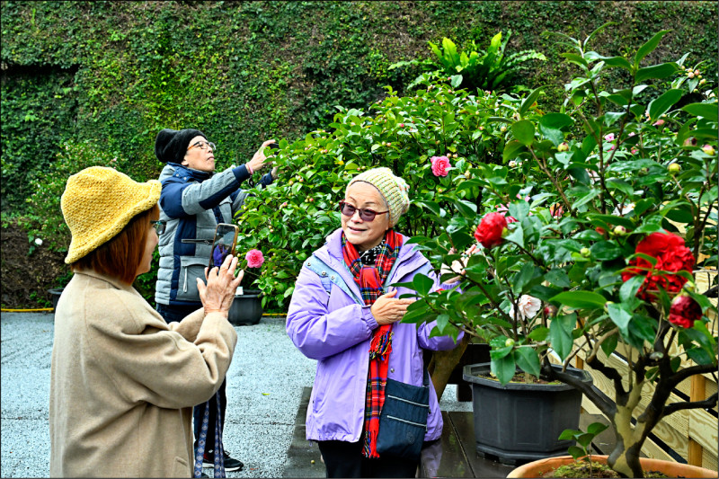 《北市》花季集章挨罵 最大獎要參加1年12場 - 生活 - 自由時報電子報