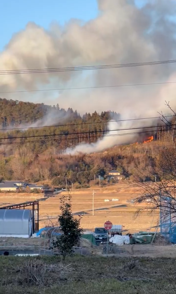 日岩手縣野火延燒一週又惡化 疑垃圾焚燒引燃數百米山林 - 國際 - 自由時報電子報