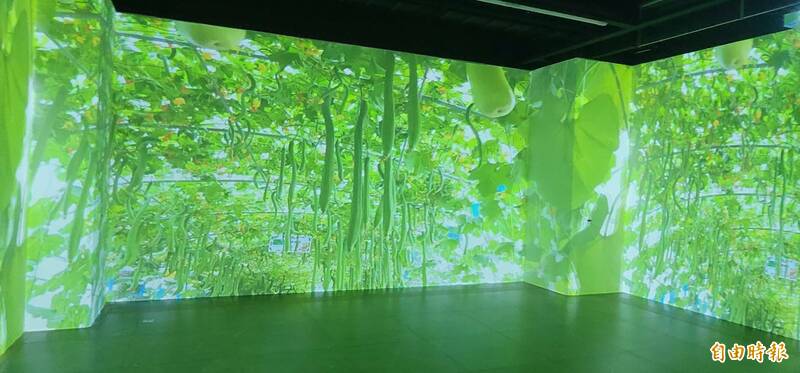 屏東鳳梨與蜜棗、蘭花展 228連假登場 - 生活 - 自由時報電子報