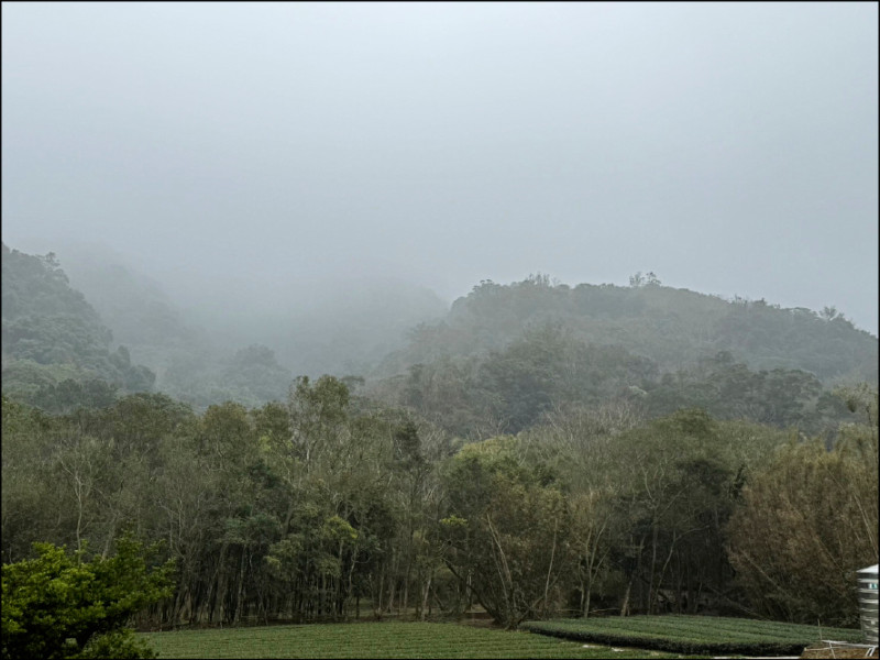 《桃園》濃霧又霾害 空氣品質不佳 - 生活 - 自由時報電子報