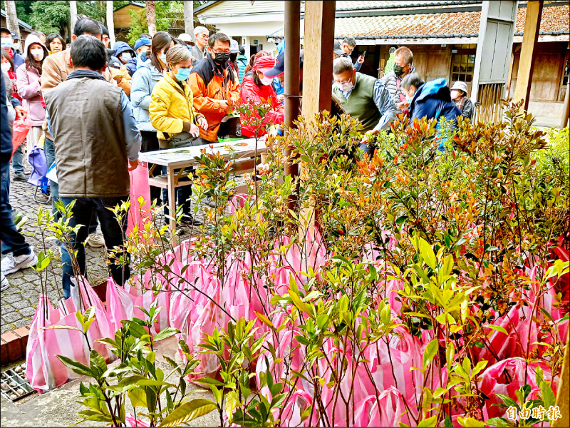 林保署宜蘭分署贈苗 3月辦22場次 - 生活 - 自由時報電子報