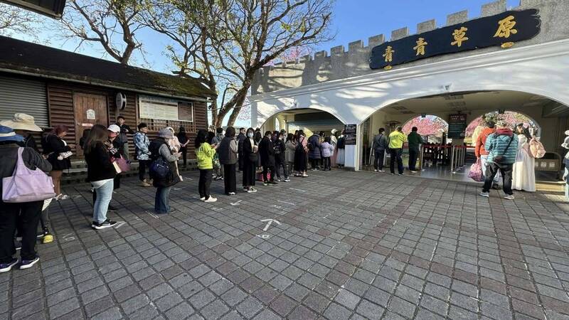 228連假清境農場回暖櫻花怒放  國民賓館住宿率達8成 - 生活 - 自由時報電子報