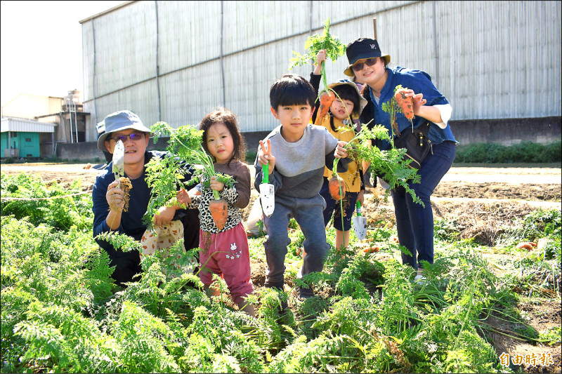 將軍拔胡蘿蔔體驗 親子樂開懷 - 生活 - 自由時報電子報