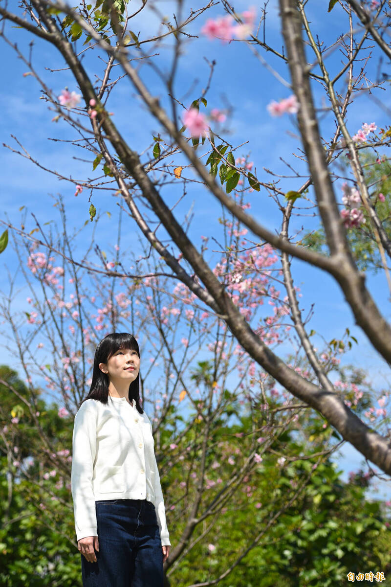 公園一隅仍有櫻花盛開。(記者陳逸寬攝) 公園一隅仍有櫻花盛開。(記者陳逸寬攝)
