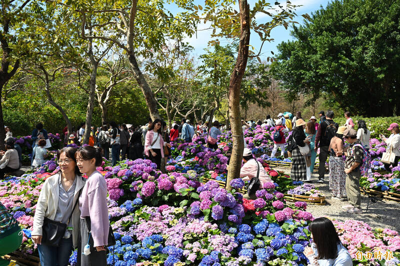 台北杜鵑花季開跑,大安森林公園處處是賞花客。(記者陳逸寬攝) 台北杜鵑花季開跑,大安森林公園處處是賞花客。(記者陳逸寬攝)