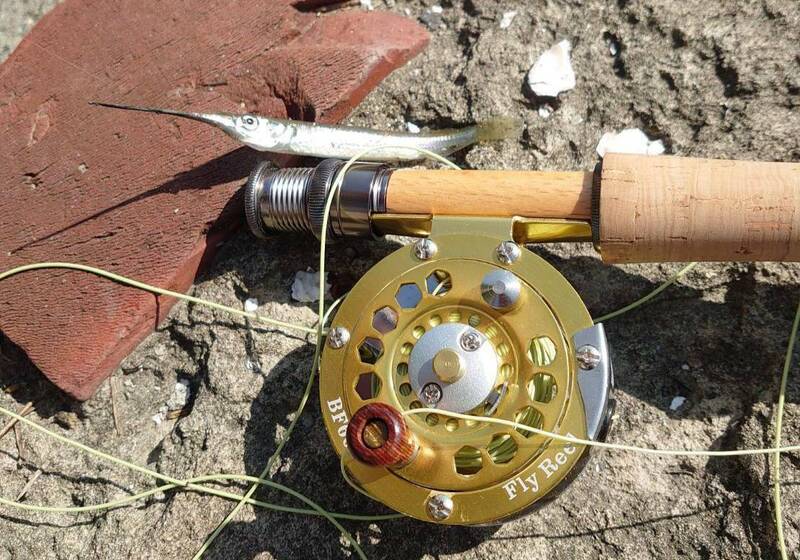 獨家》台德聯手破解百年謎團 新魚種以「打狗」命名 - 生活 - 自由時報電子報